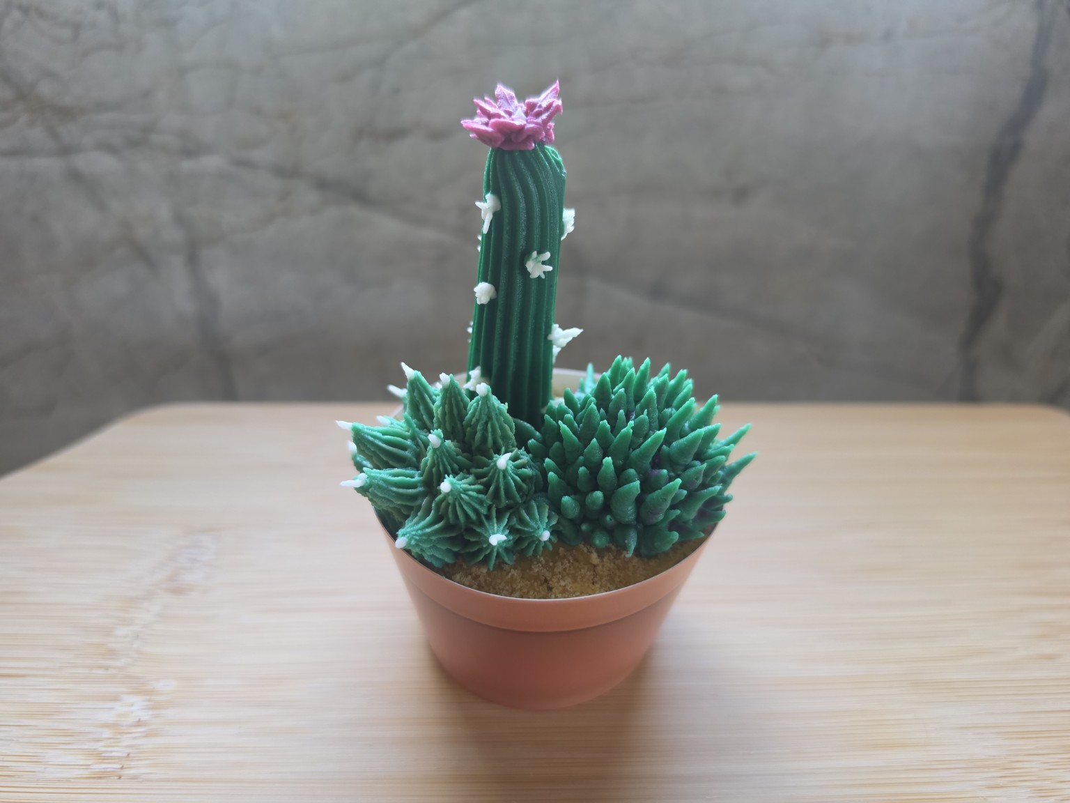 Hand-piped cactus and succulent cupcake garden